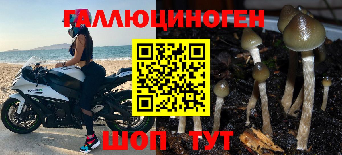 Псилоцибиновые грибы мицелий Родники
