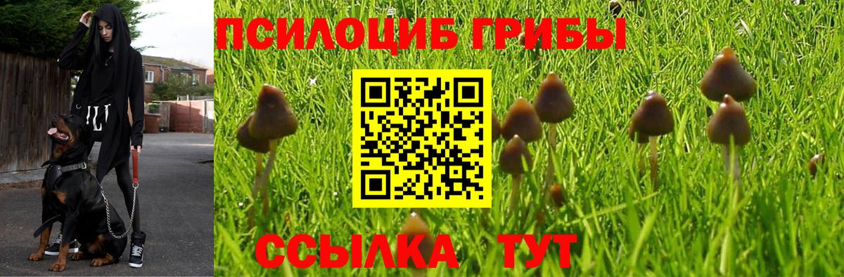Галлюциногенные грибы мицелий  Вход с VPN  Псилоцибиновые грибы MAGIC MUSHROOMS  Родники 